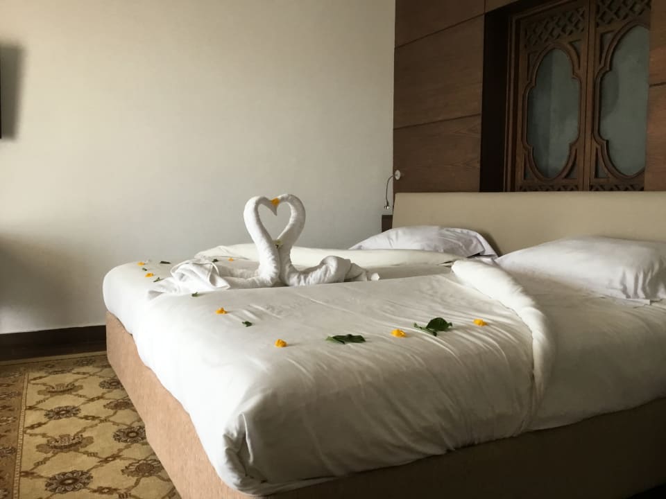 Zimmer Steigenberger Makadi Hotel - Adults only