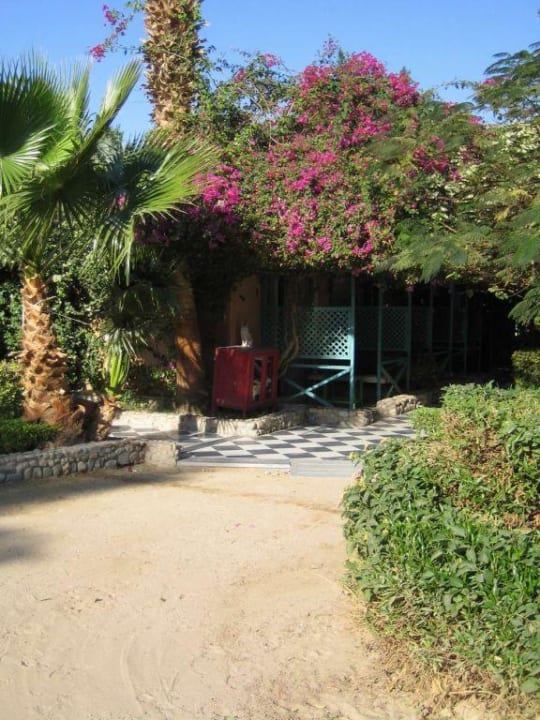 Bungalowzimmer Giftun Azur Resort