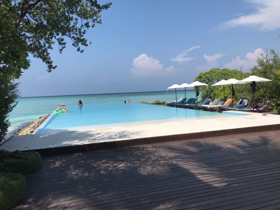 Pool Summer Island Maldives