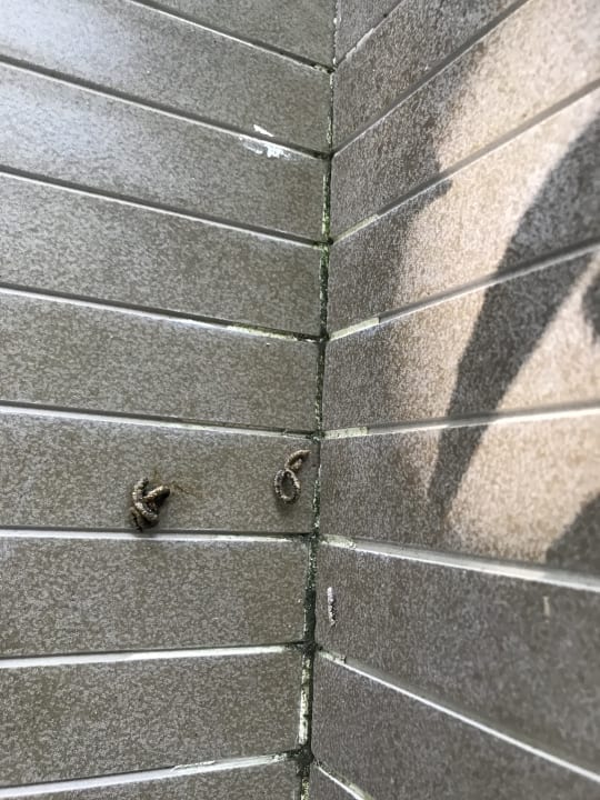 Zimmer ROBINSON MALDIVES