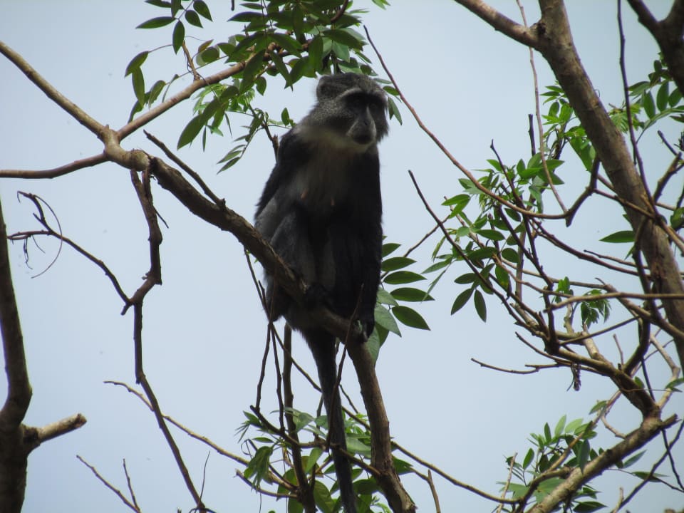 Aff Shimba Hills Lodge