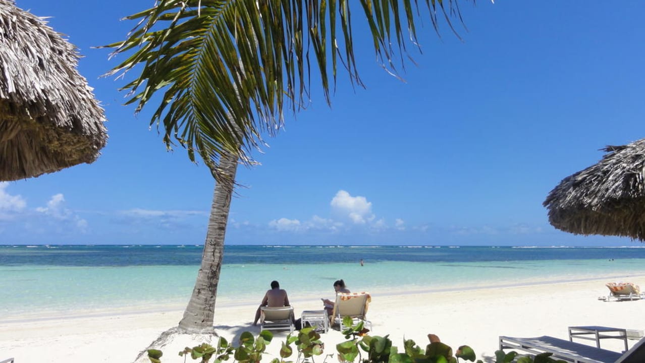 Karibik pur! Catalonia Royal Bavaro - Adults only