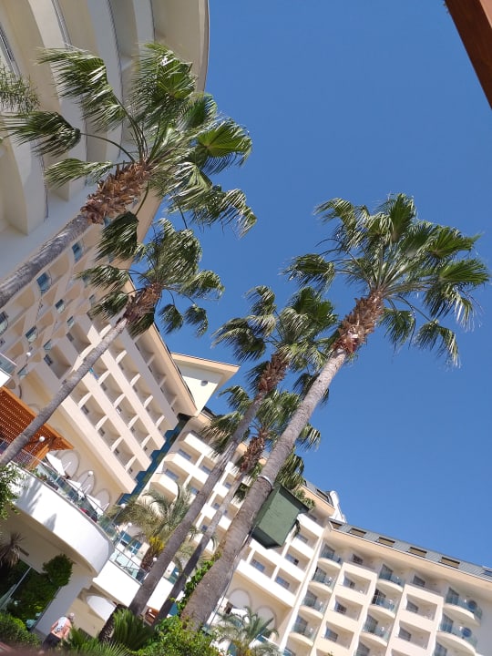 Außenansicht Saphir Resort & Spa