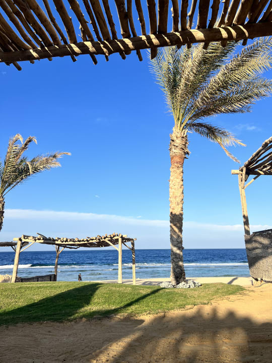 Strand Steigenberger Resort Alaya Marsa Alam - Red Sea - Adults only
