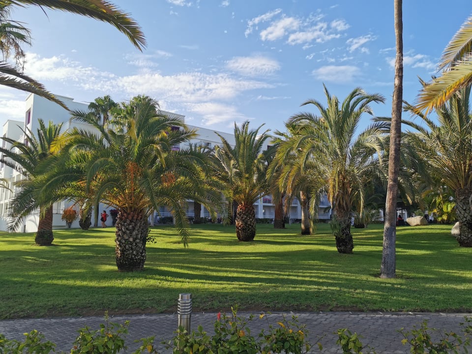 Gartenanlage Hotel Riu Gran Canaria