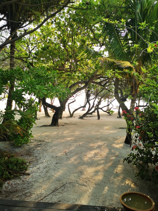 Gartenanlage Adaaran Select Hudhuran Fushi - Premium All Inclusive