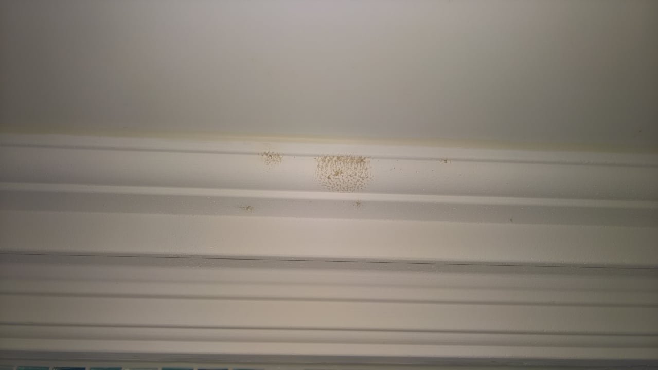 Zimmer Breidenbacher Hof