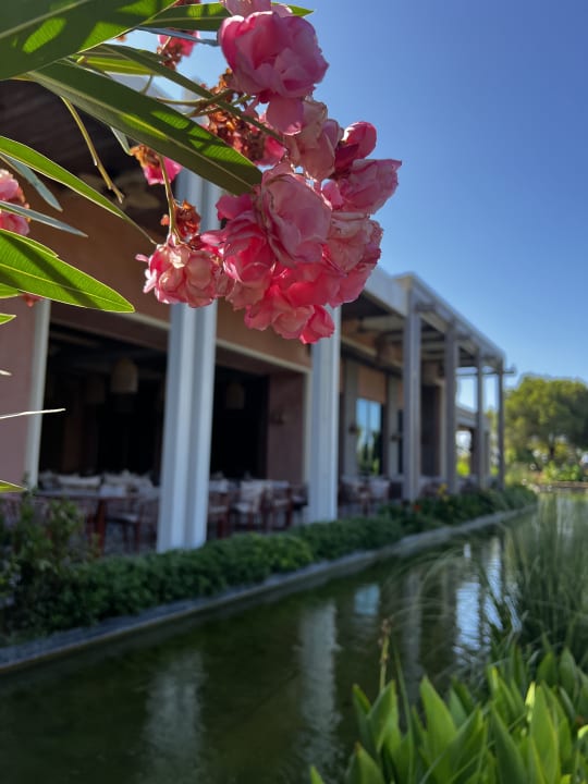 Gastro Ela Excellence Resort Belek