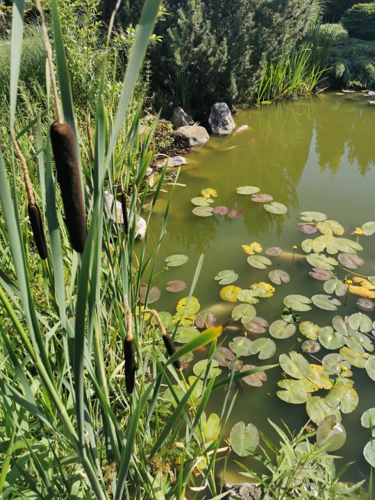 Gartenanlage Arka Medical Spa