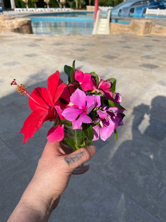 Sonstiges Lazuli Hotel Marsa Alam