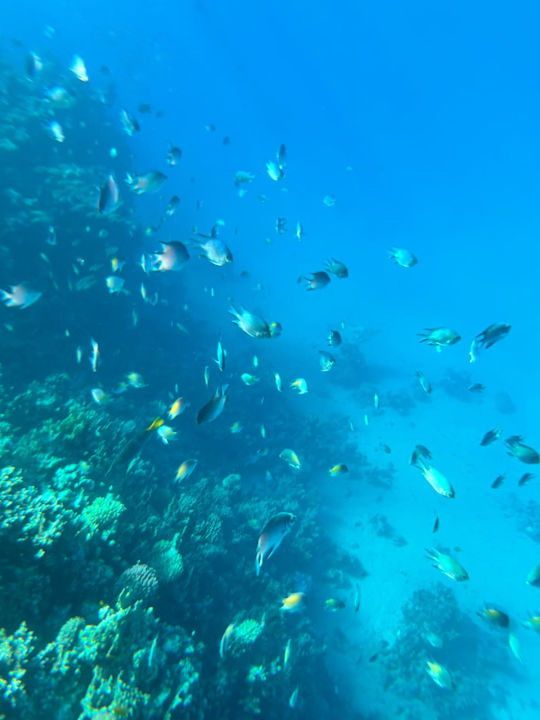 Strand Cleopatra Luxury Resort Makadi Bay