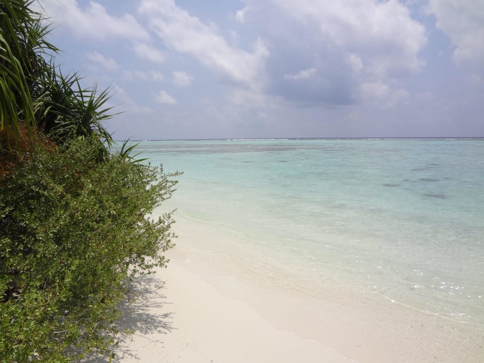 Strand Angsana Velavaru