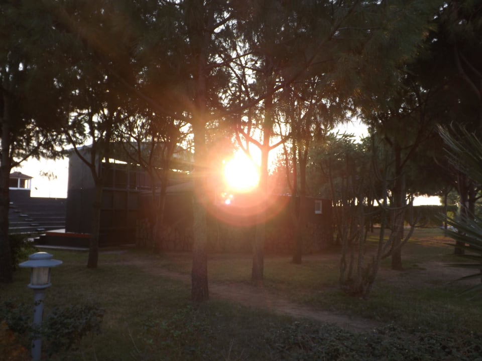 Hotelanlage Club Turtas Beach Hotel