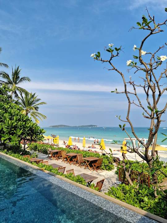 Pool Banana Fan Sea Resort