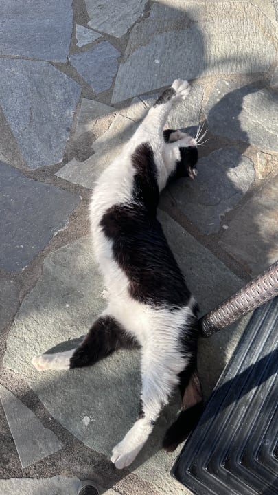 Gartenanlage Hotel Golden Sun