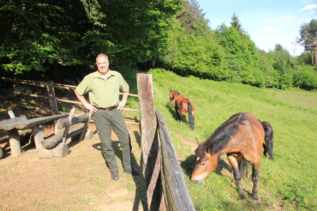 Sommerweide der Pferde mit Picknickplatz Sonnhof-Fankhauser