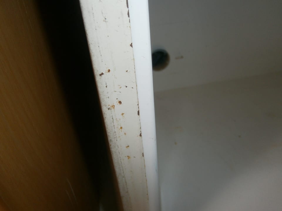 Kühlschrankrand Hotel Amir Palace