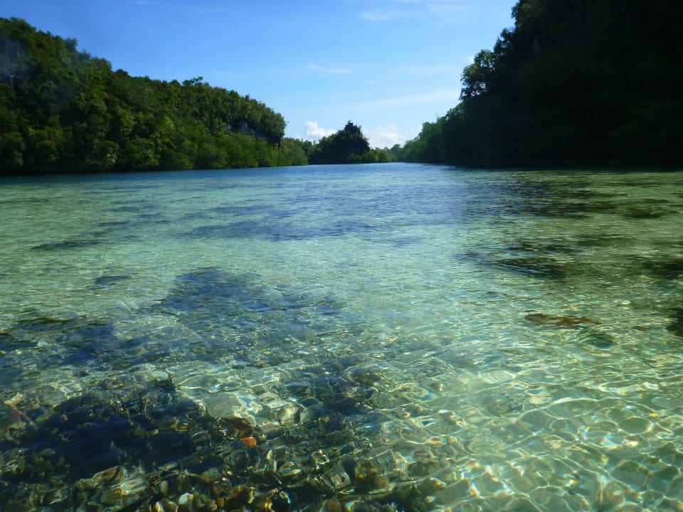 Unterwegs mit dem Kajak  Raja4divers Resort