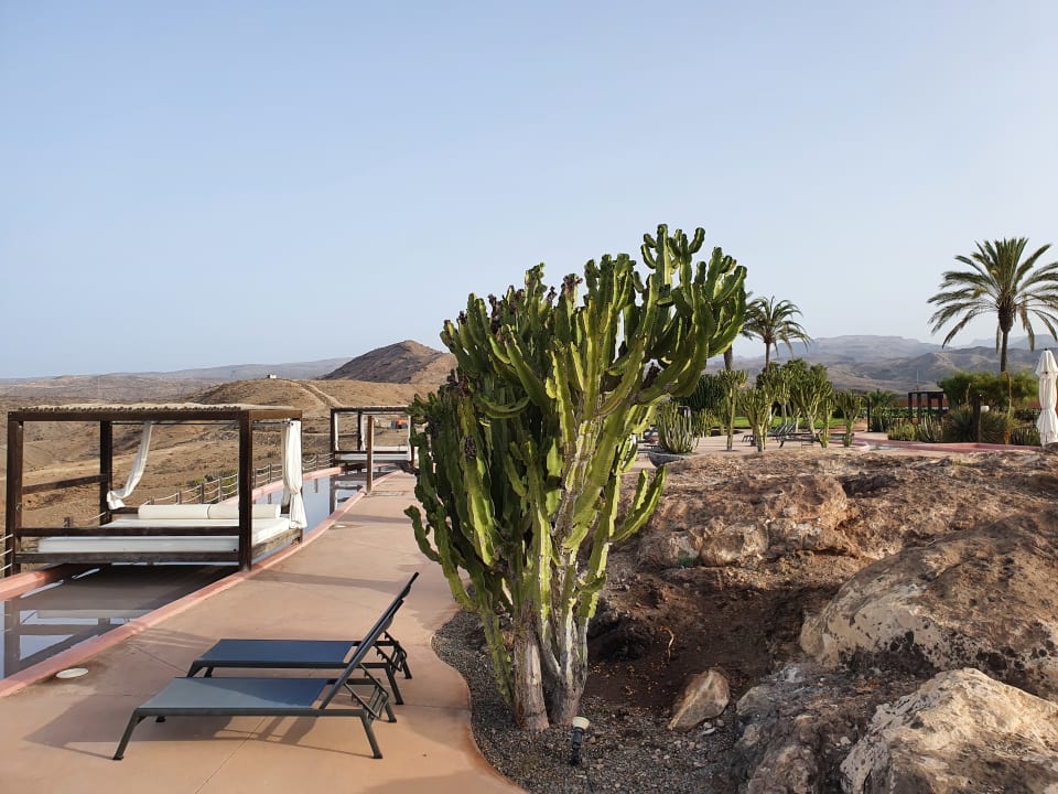 Pool Salobre Hotel Resort & Serenity