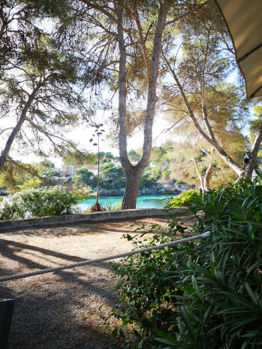 Ausblick Iberostar Waves Pinos Park