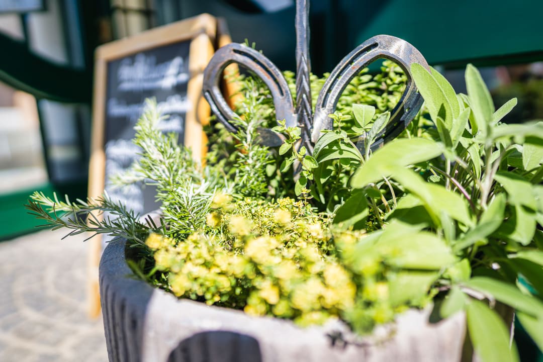 Sonstiges Landhotel Schwaiger