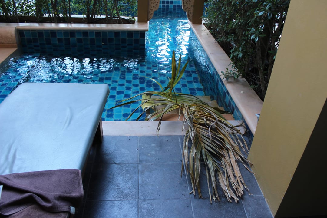 Ein Opfer des starken Windes Hotel Rawai Palm Beach Resort