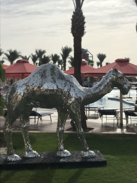 Sonstiges Pickalbatros Palace Resort
