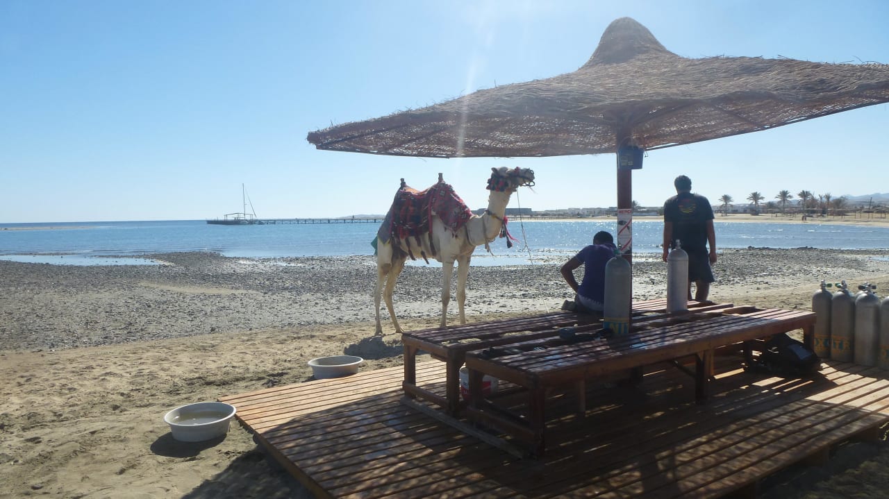 Kamel Three Corners Equinox Beach Resort