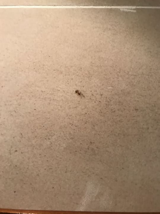 Zimmer Iberostar Origin Playa Alameda