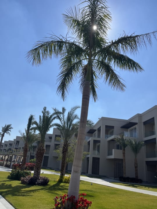 Außenansicht Steigenberger Resort Ras Soma