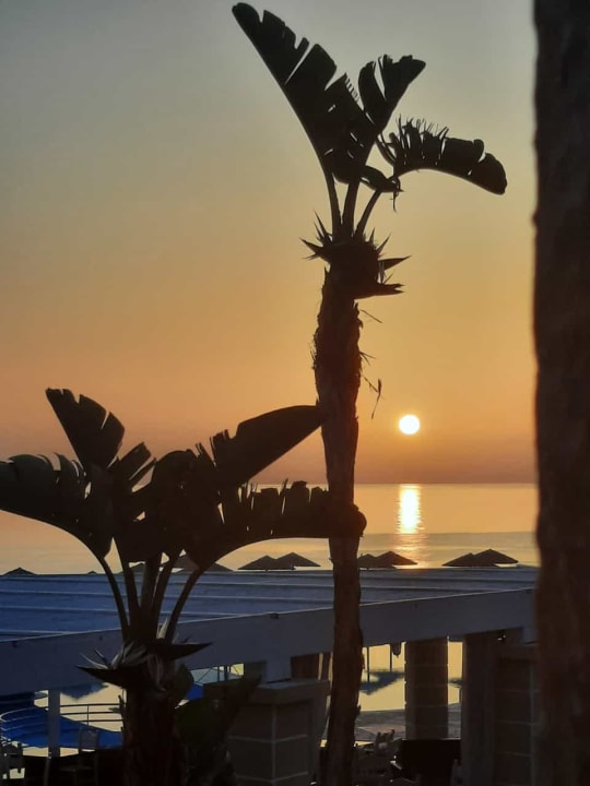 Ausblick Alexander Beach Hotel & Village Resort