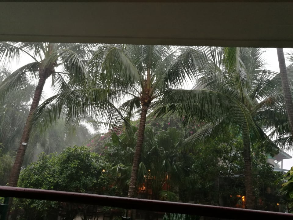 Gartenanlage Hoang Ngoc Beach Resort