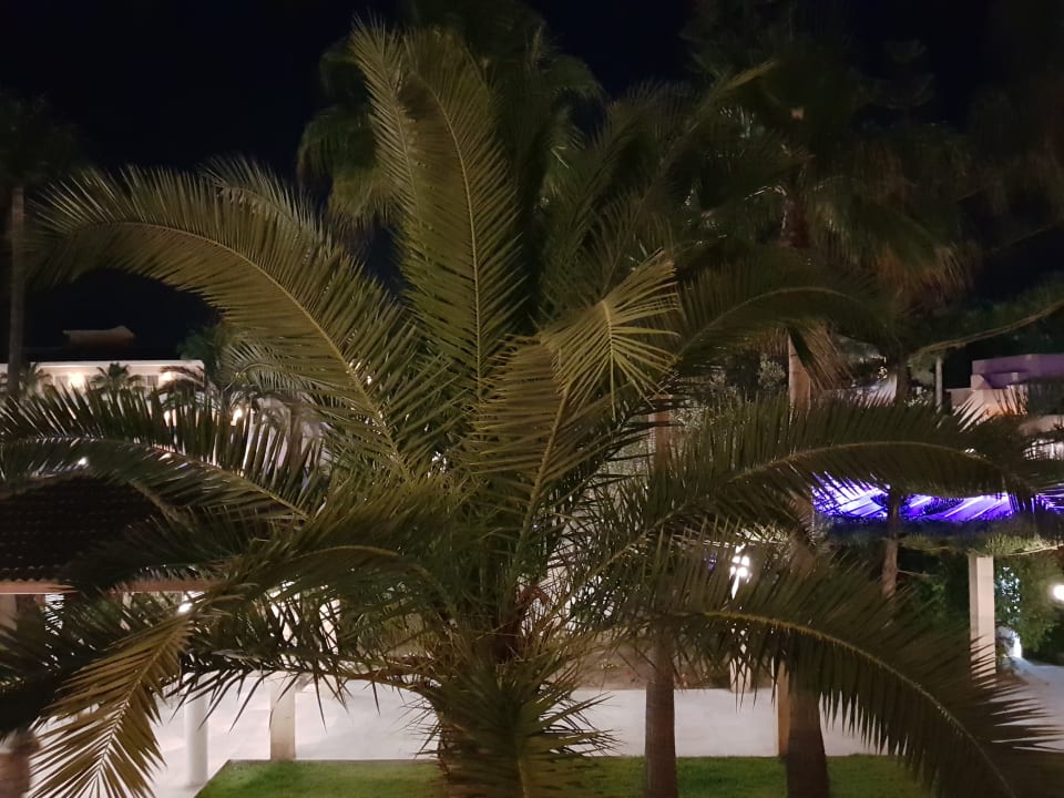 Ausblick Playa Garden Selection Hotel & Spa