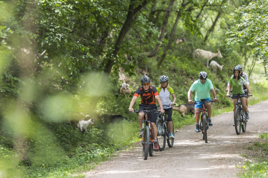 Bike Hotel Markushof