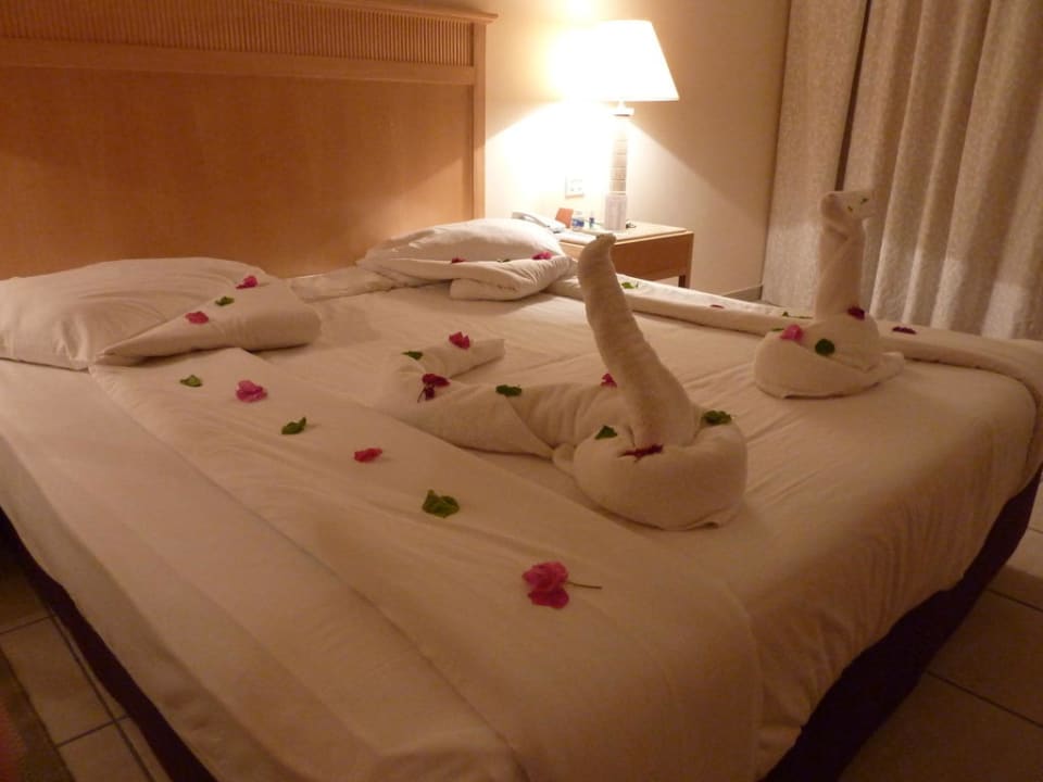 Schöne Arbeit Hotel JAZ Makadi Star & Spa