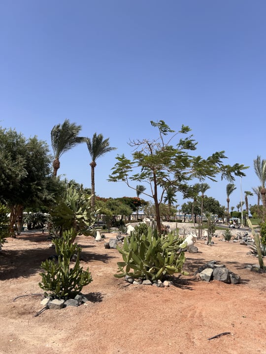 Gartenanlage Steigenberger Aqua Magic