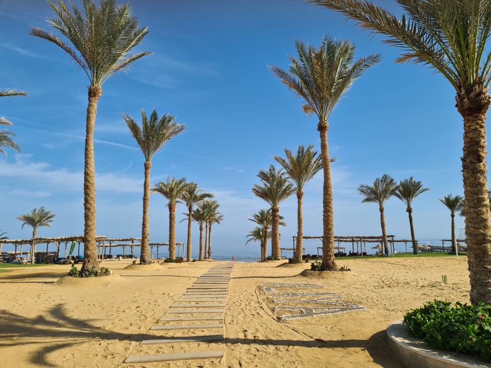Strand Steigenberger Resort Alaya Marsa Alam - Red Sea - Adults only