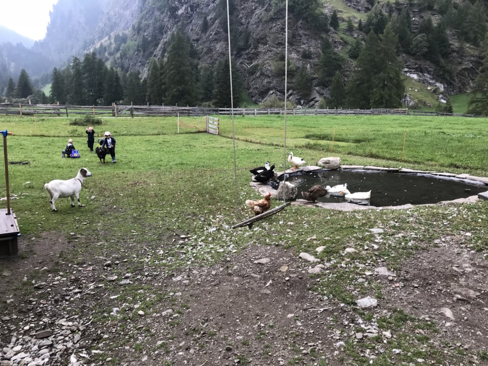 Gartenanlage Hütterwirtshof