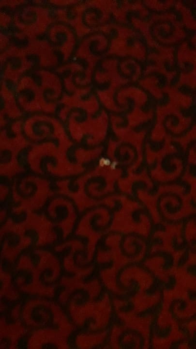 Zimmer Hotel Belle Arti