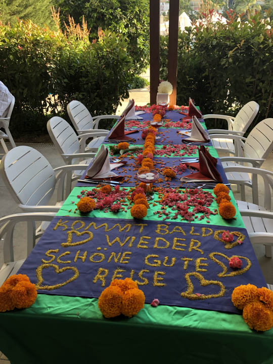 Gastro Well Palace Side