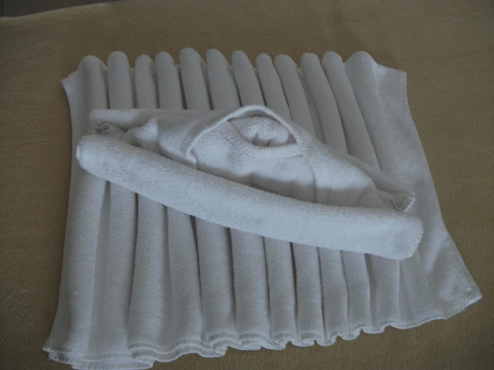 Handtuchschiff Desert Rose