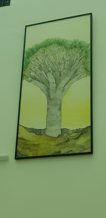 Lobby Club Hotel Drago Park