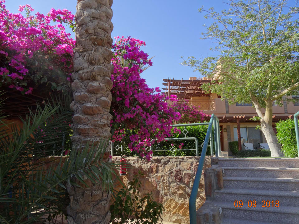 Außenansicht Shams Prestige Abu Soma-Adults Only