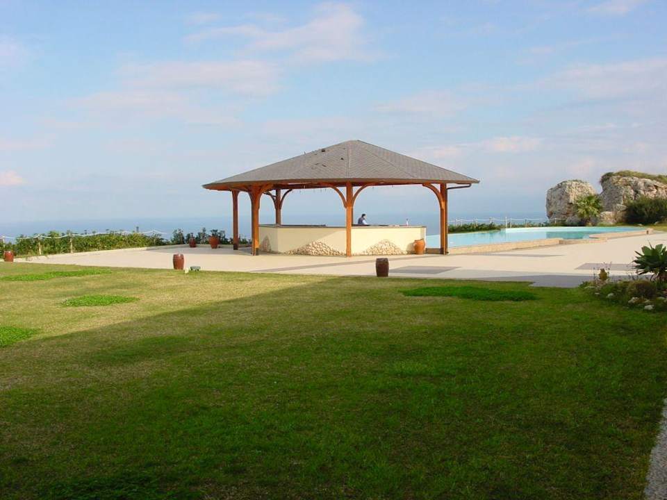 Il Parco degli Ulivi Il Parco Degli Ulivi