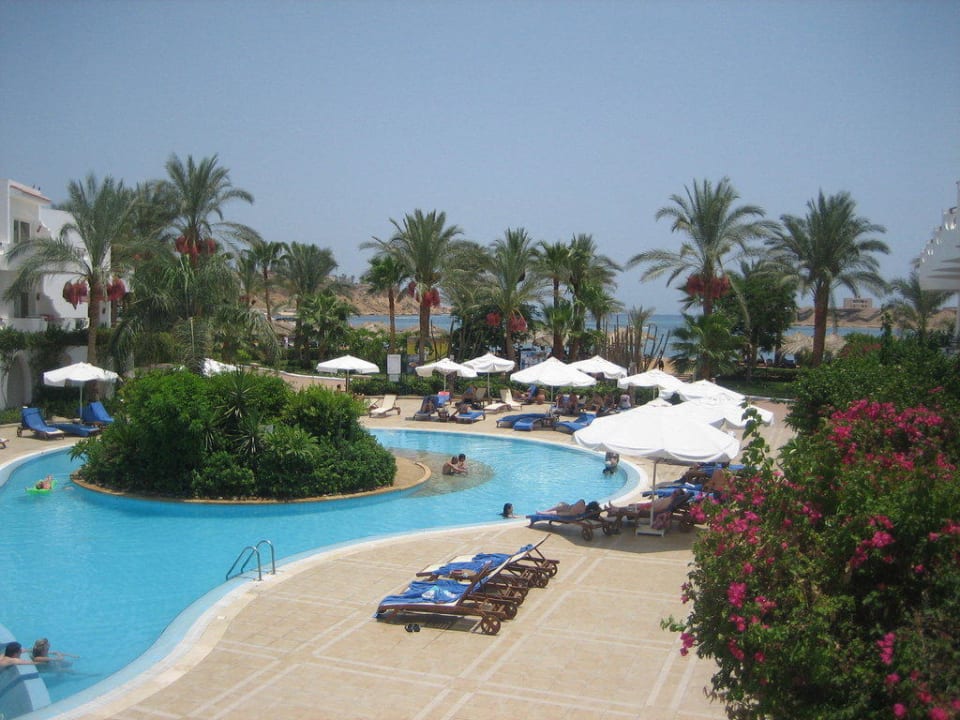 Pool - Palmen - Meer Iberotel Palace