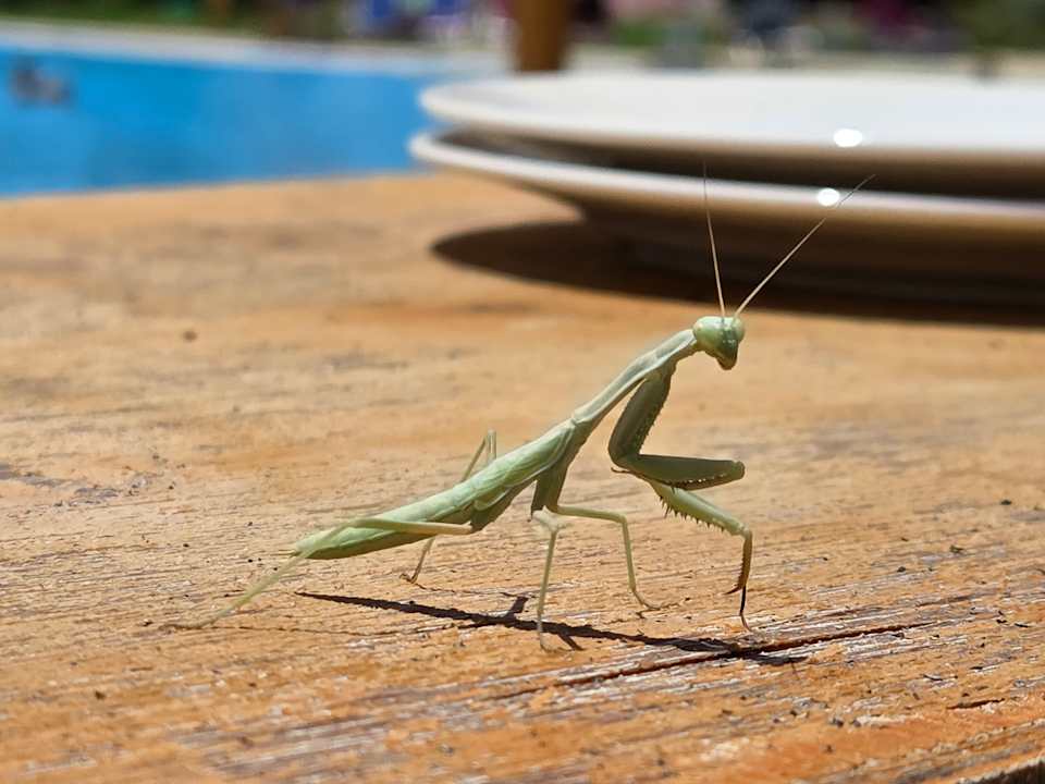 Außenansicht Cleopatra Luxury Resort Makadi Bay