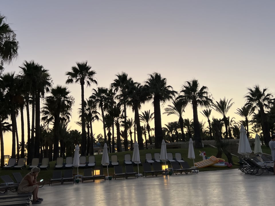 Pool Monachus Family Resort Sorgun