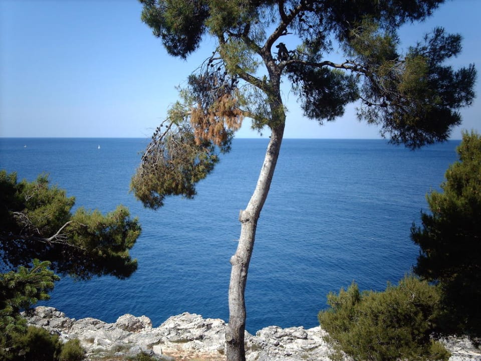 Balkonblick Park Plaza Verudela Pula