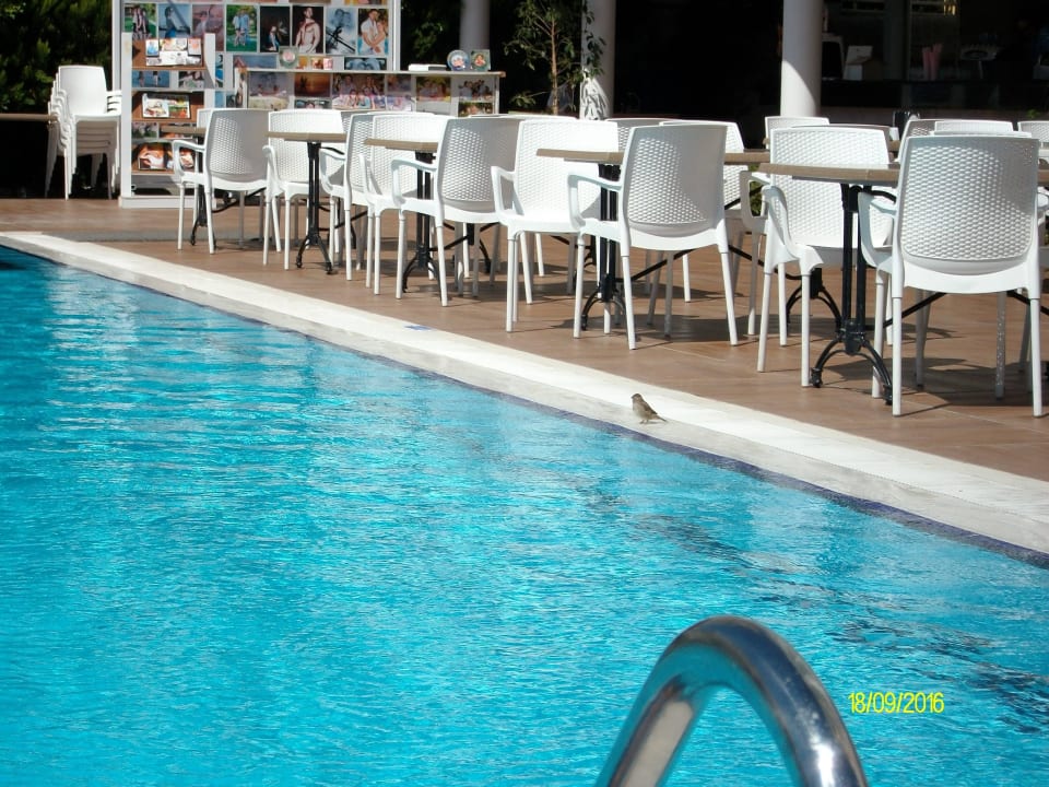Poolbar Palm World Side Resort & Spa