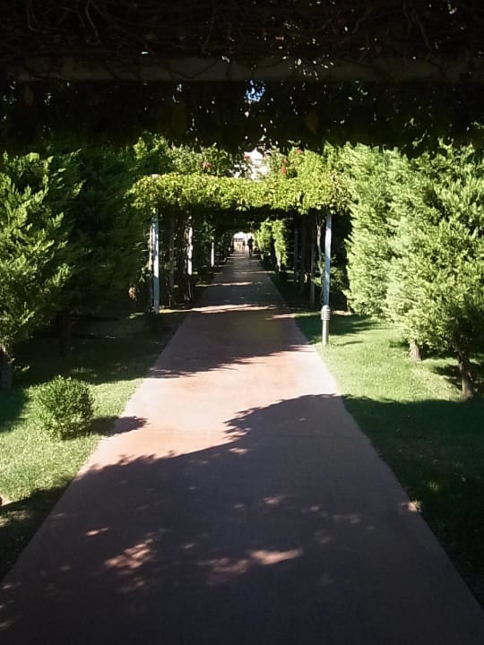 Weg zum Meer Saturn Palace Resort Hotel